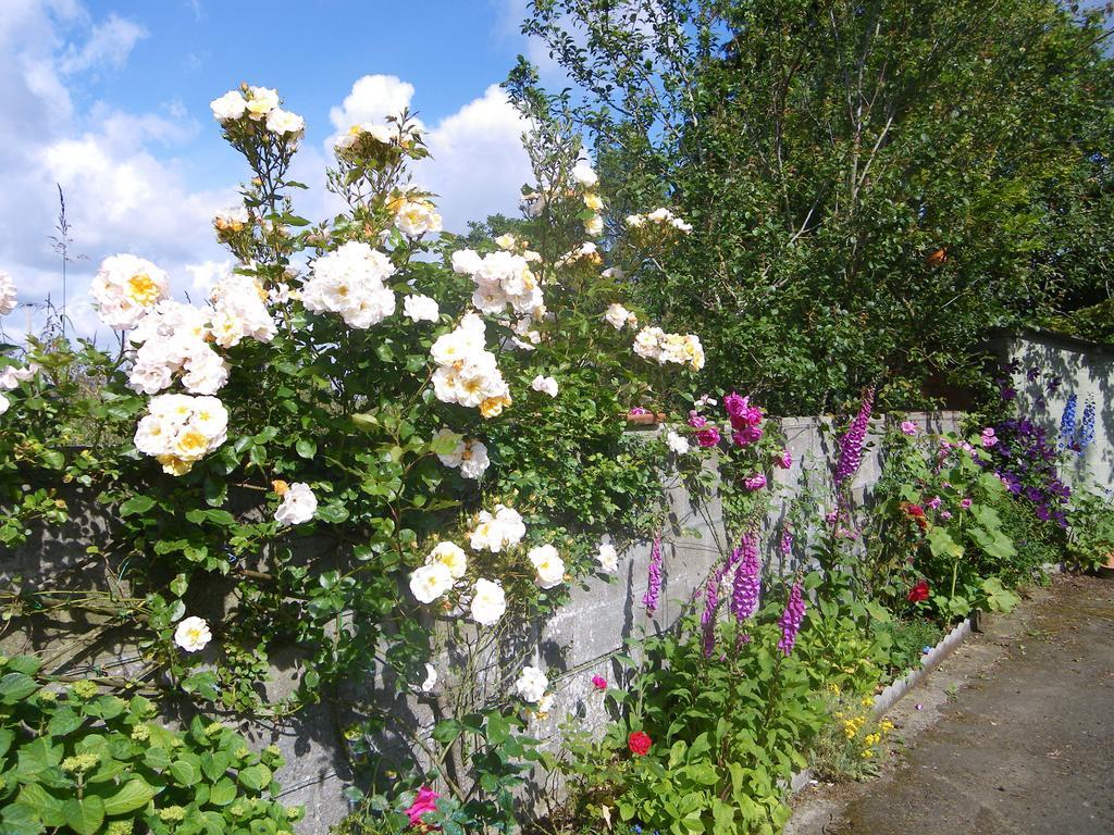 Kirribilli Bed & Breakfast Pleine-Fougeres Ngoại thất bức ảnh